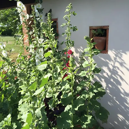 La Petite Maison Semesterbostad Mazères