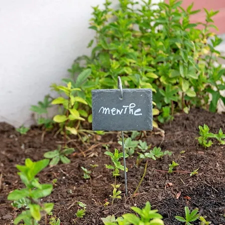 La Petite Maison Semesterbostad