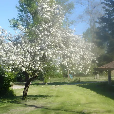 Semesterbostad La Petite Maison Mazères